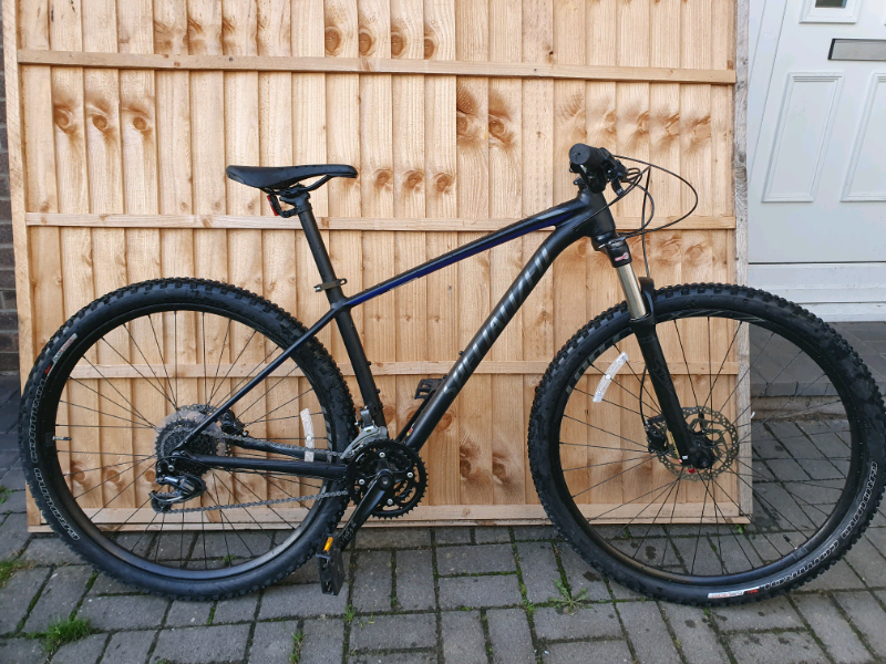 specialised rockhopper expert 2018